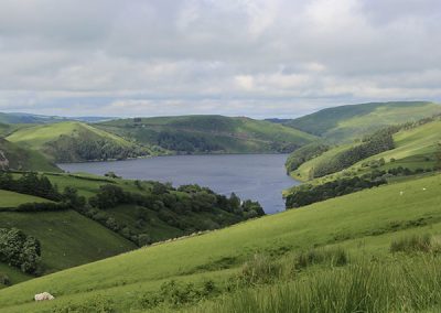 A Photograph of Clywedog Reservoir